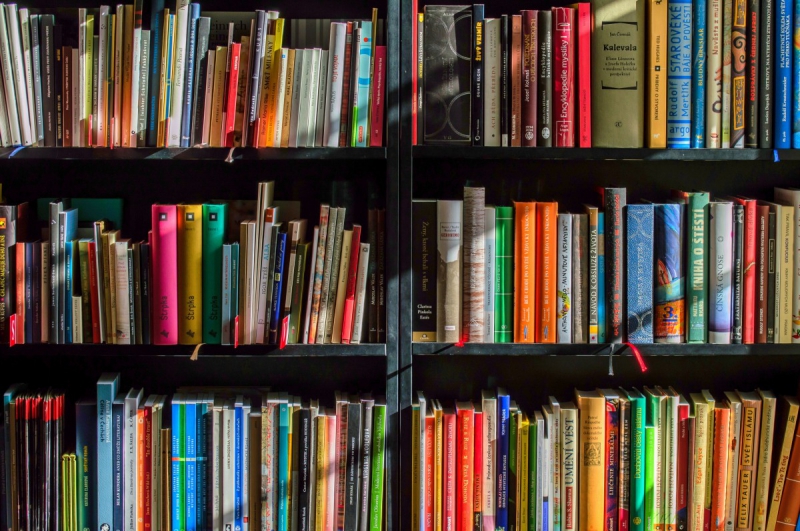 ecommerce-FREJUS-min_books_bookstore_book_reading_shop_writer_sale_books_read-822866